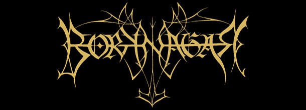 Borknagar